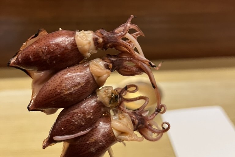 A skewer of grilled hotaru-ika (firefly squid) held at the counter