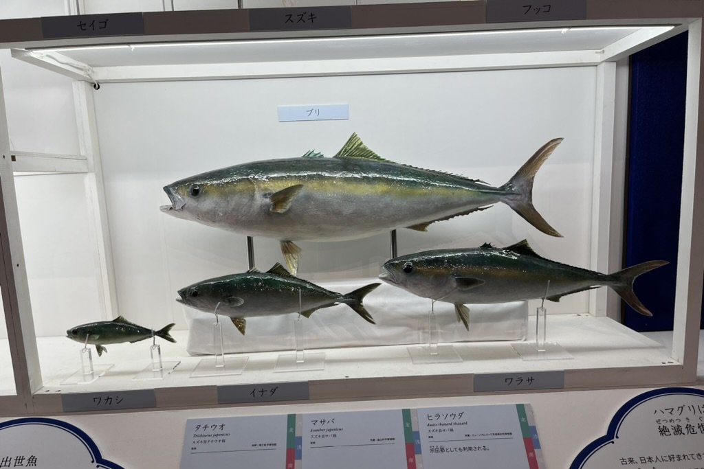 A map of where sushi's ingredients come from