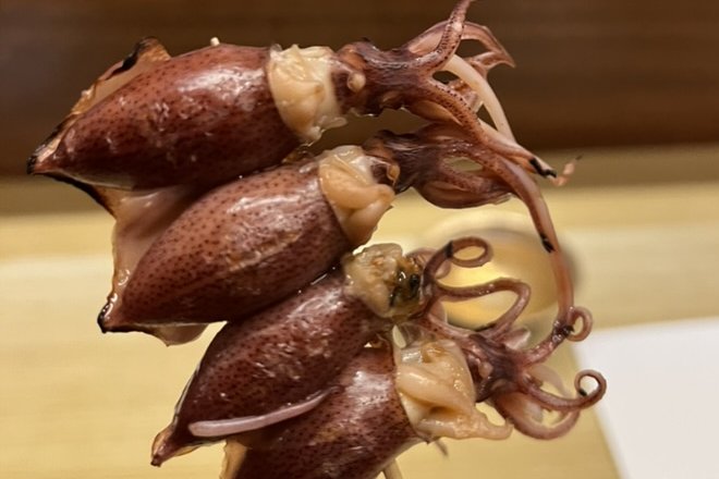 A skewer of grilled hotaru-ika, small firefly squid, held up at a counter