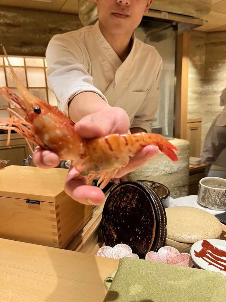 An apprentice presenting a botan-ebi prawn at the counter