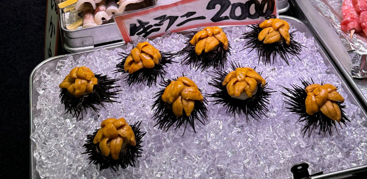 Uni: a field guide to Japan's sea urchins